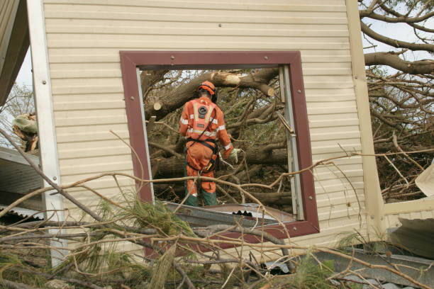 Best Tree Mulching  in Drumright, OK